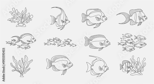 Collection of hand-drawn line art illustrations of various tropical fish and coral reef elements