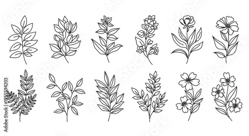 Collection of hand-drawn botanical line art elements featuring leaves and flowers