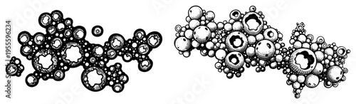 Detailed engraving of clusters of small round stone spheres or organic cell structures