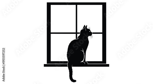 Silhouette of a cat looking out the window