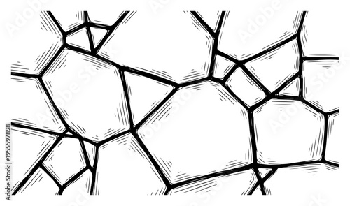Vintage engraving of a cracked earth surface with large geometric cell patterns