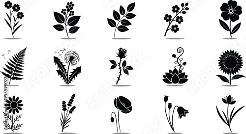 Black and white floral flowers silhouettes 1 plants