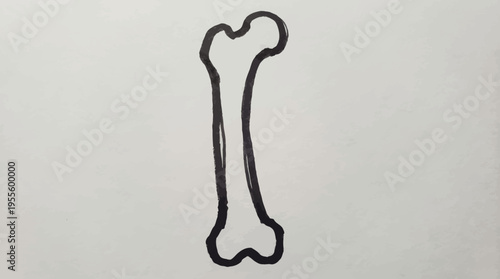 A stark, minimalist black outline illustration of a human femur, clearly representing the fundamental anatomy and robust structure of human bones, ideal for educational and biological concepts