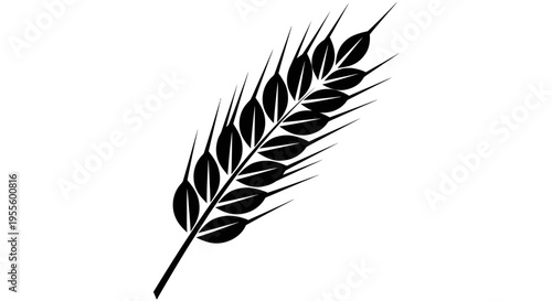 A black silhouette of a wheat or grass leaf