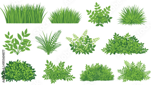 Diverse collection of green garden plants and shrubs features a wide variety of leaf shapes and growth habits for landscape design.