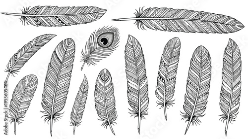 Artistic collection of various bird feathers featuring detailed ethnic patterns and natural textures in black and white.