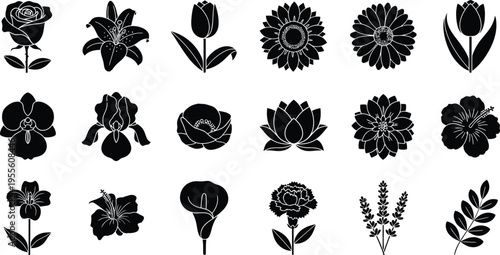 Black and white floral silhouettes on white background flowers floral white background