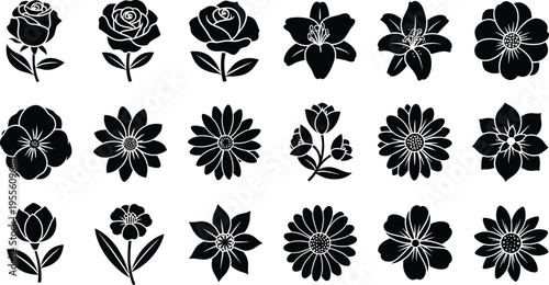 Black and white floral silhouettes on white background flowers