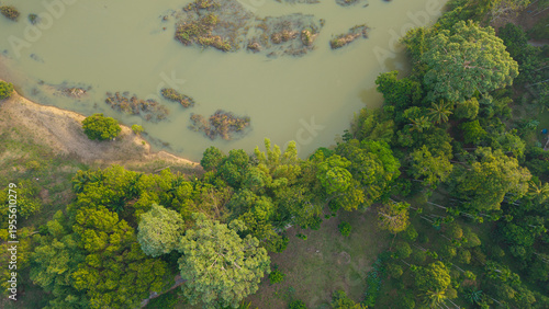 Aerial view tropical green tree forest river canal curve