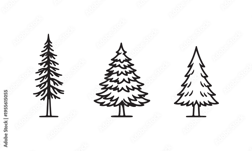 Obraz premium Evergreen Tree Vector Icons Set – Conifer, Forest, Nature, Landscape, Botanical