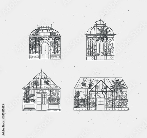 Greenhouse interior illustrations with potted and hanging plants drawing in line art graphic style with black color on light background