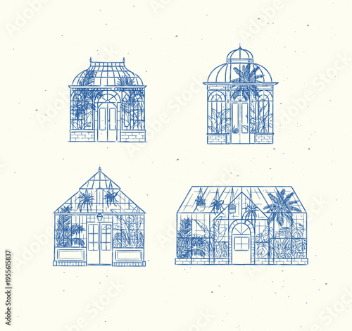 Greenhouse interior illustrations with potted and hanging plants drawing in line art graphic style with blue color on light background