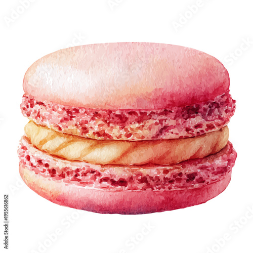 Tableau sur toile Macaron watercolor artwork, high-quality professional vector illustration isolated on a white background