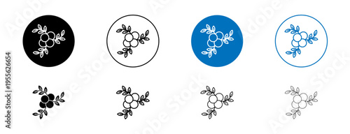 Juniper icons set. vector illustration