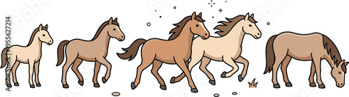 Set of Different Stages of Horse Growth from Foal to Adult with Various Poses for Animal, Wildlife, and Equestrian Design Projects