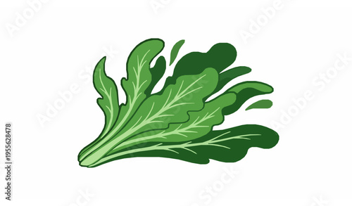 Organic lettuce leaves vector illustration with flowing natural shape fresh salad vegetable isolated on white