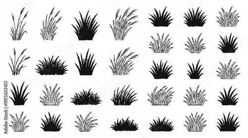 Minimalist black and white doodle collection of assorted grass and plant silhouettes arranged in neat rows for design