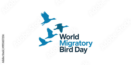 A minimalist graphic design for world migratory bird day featuring four flying blue bird silhouettes Vector, illustration