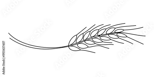 A simple black and white line art illustration of a single stalk of wheat on a plain background Vector, illustration