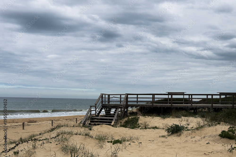 Fototapeta premium Sturdy wooden stairs rise from the sandy beach, surrounded by tall grasses, leading to the top of the dune under a cloudy afternoon sky. The scene is calm and inviting.