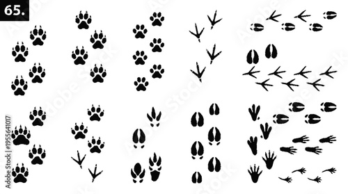 Stylized black animal tracks icon set for hunting trail guides and outdoor activities