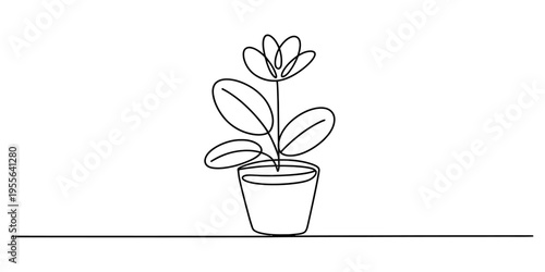 A minimalist single line drawing of a potted houseplant with leaves and a flower on a flat base Vector, illustration