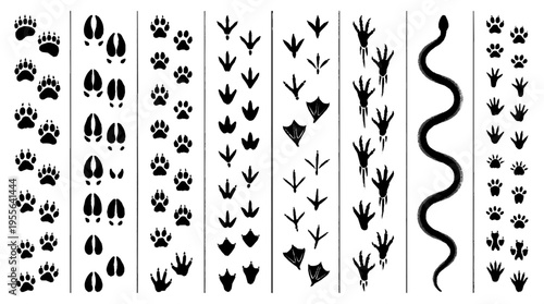 Footprint reference board with various animal tracks and silhouettes on white background for educational purposes