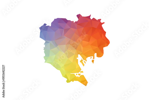 Tokyo Map - Polygon Style Vector Illustration in Rainbow Gradient, Low Poly Multicolor Geometric Design, Isolated on White Background, Suitable for Reports, and Creative Projects.