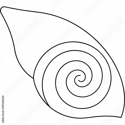 conch shell with spiral interior line art vector illustration on transparent background