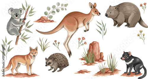 Australian Wildlife Animal Set Featuring Kangaroo Koala Wombat Echidna Dingo and Tasmanian Devil in Natural Habitat Illustration Style