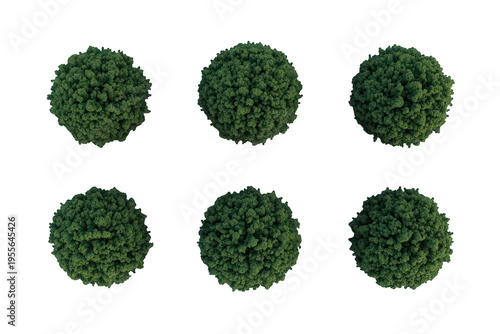 Green round spherical bushes or shrubs on transparent background, top view for architecture and landscaping plan rendering