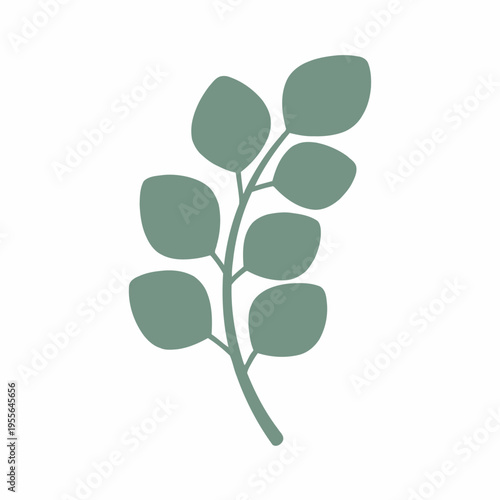 A minimal, sage green, flat lay illustration of a spring branch with oval-shaped leaves on a white background, ideal for nature branding elements and floral graphics.