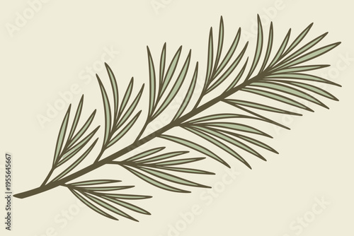 Green pine tree branch on beige background