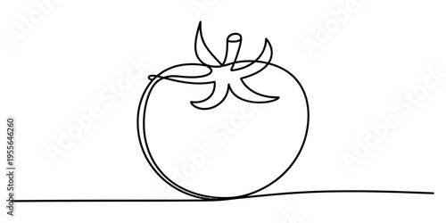 A minimalist continuous line drawing of a fresh tomato illustration on a plain white background