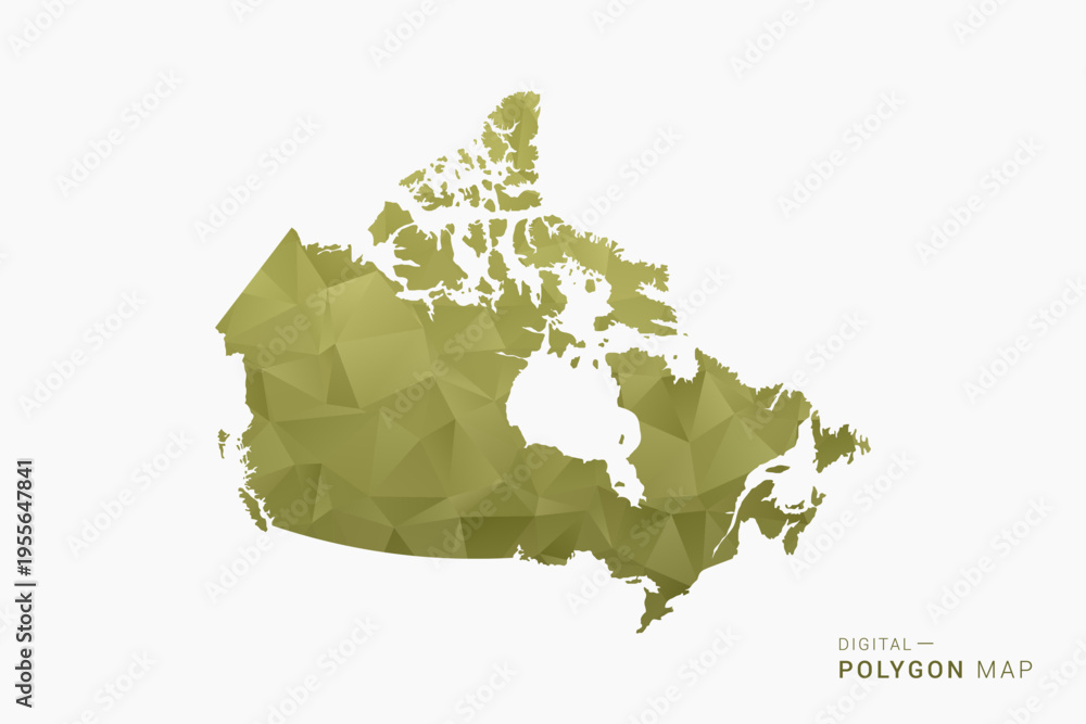 Naklejka premium Canada polygon map vector illustration in low poly geometric style, soft pastel colors with Olive green, clean silhouette on solid background, ideal for infographic.