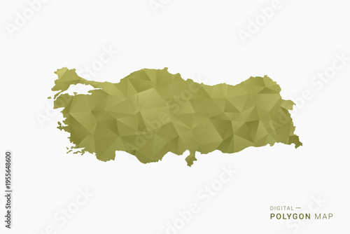 Turkey polygon map vector illustration in low poly geometric style, soft pastel colors with Olive green, clean silhouette on solid background, ideal for infographic.