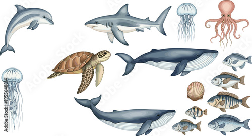 Ocean Marine Animal Collection Vector Illustration Featuring Whale Shark Dolphin Sea Turtle Octopus Jellyfish and Assorted Fish in Detailed Style