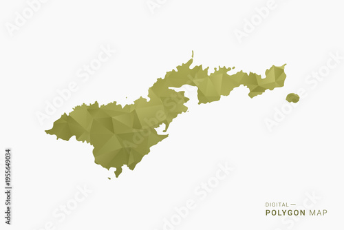 American Samoa polygon map vector illustration in low poly geometric style, soft pastel colors with Olive green, clean silhouette on solid background, ideal for infographic.