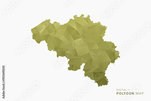 Belgium polygon map vector illustration in low poly geometric style, soft pastel colors with Olive green, clean silhouette on solid background, ideal for infographic.