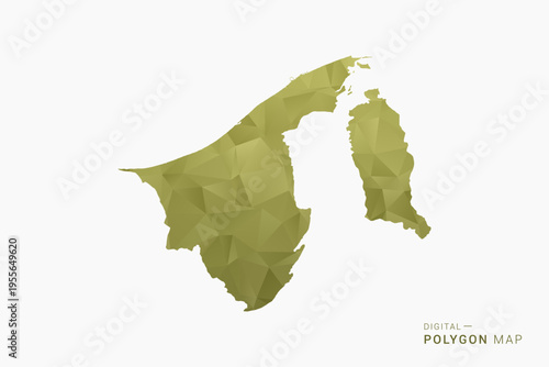 Brunei polygon map vector illustration in low poly geometric style, soft pastel colors with Olive green, clean silhouette on solid background, ideal for infographic.