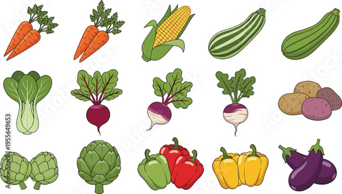 Fresh Organic Vegetable Set Including Carrot, Corn, Zucchini, Beetroot, Potato, Artichoke, Bell Pepper, Eggplant, and Leafy Greens Vector Illustration Collection