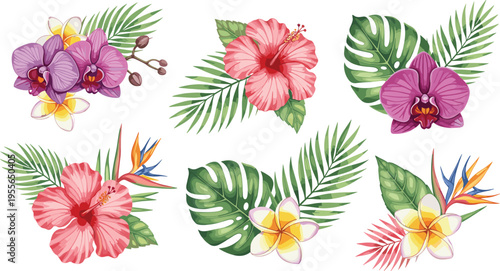 Tropical Floral Collection Vector Illustration Featuring Hibiscus Orchid Plumeria Monstera Leaves and Exotic Botanical Elements in Vibrant Style