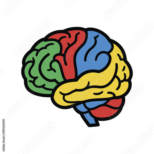 Colorful Cartoon Brain Illustration with Segmented Sections for Educational Use, Front View, White Background