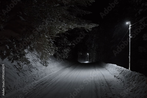 Russia, Artybash. The South of Western Siberia, the Altai Mountains. Night highway along the shore of Lake Teletskoye illuminated by the light of street lamps.