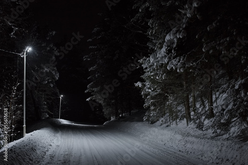 Russia, Artybash. The South of Western Siberia, the Altai Mountains. Night highway along the shore of Lake Teletskoye illuminated by the light of street lamps.