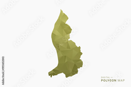 Liechtenstein polygon map vector illustration in low poly geometric style, soft pastel colors with Olive green, clean silhouette on solid background, ideal for infographic.