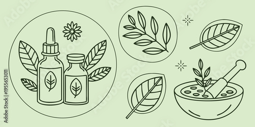 Herbal medicine and leaf on green background leaves flowers bottles mortar and pestle