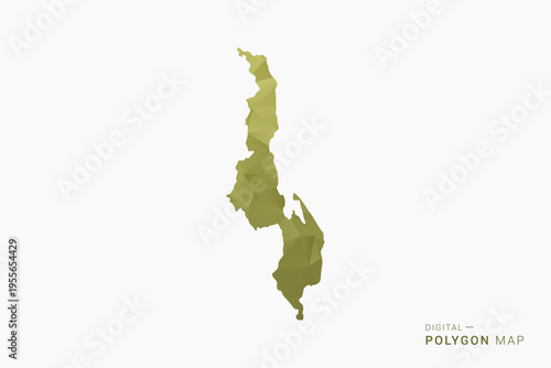 Malawi polygon map vector illustration in low poly geometric style, soft pastel colors with Olive green, clean silhouette on solid background, ideal for infographic.