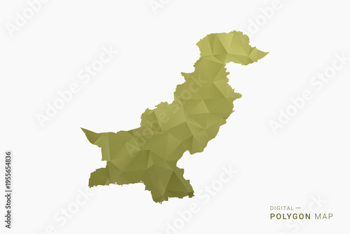 Pakistan polygon map vector illustration in low poly geometric style, soft pastel colors with Olive green, clean silhouette on solid background, ideal for infographic.