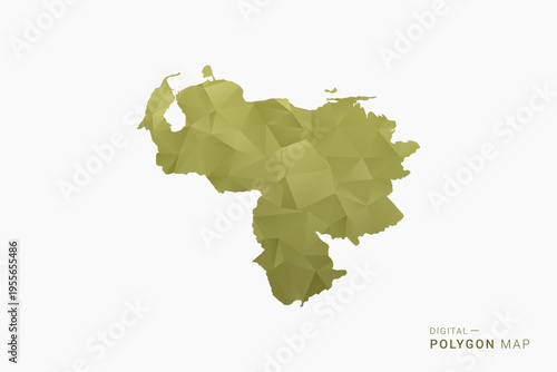 Venezuela polygon map vector illustration in low poly geometric style, soft pastel colors with Olive green, clean silhouette on solid background, ideal for infographic.